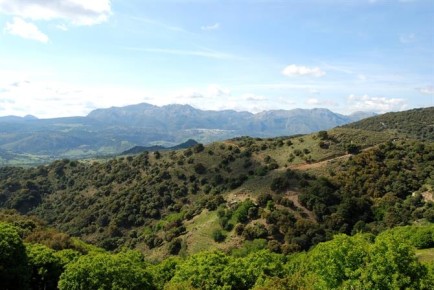 The fragrant hills and mountains of the Sierra Bermeja provide a welcome change from the heat and crowds of the summer coastline.